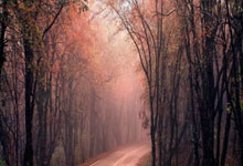 巅峰国际:稳稳当当!胡明轩上半场6中4得10分1板6助1断 三分4中2.