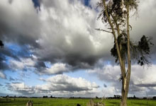 巅峰国际:回到乌兹别克斯坦后,胡桑诺夫已悄然完成了他的婚姻大事.