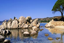 巅峰国际:稳稳当当!胡明轩上半场6中4得10分1板6助1断 三分4中2.